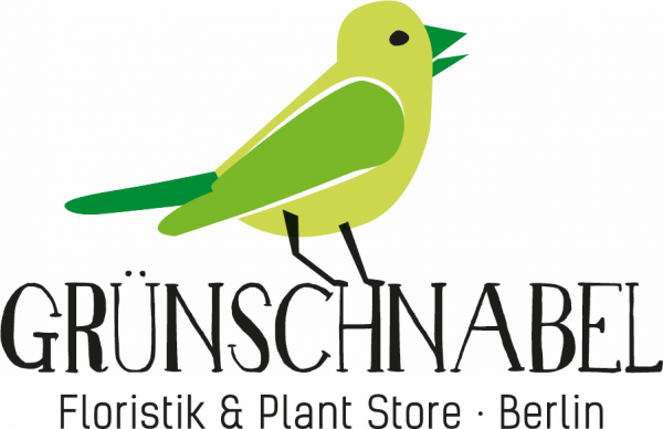 Grünschnabel Floristik & Plant Store Berlin